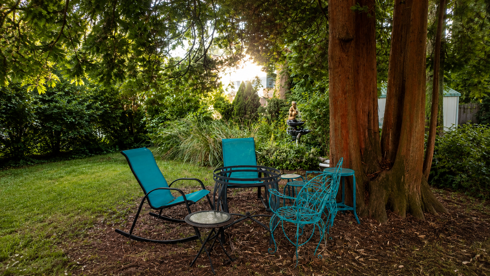 Backyard View