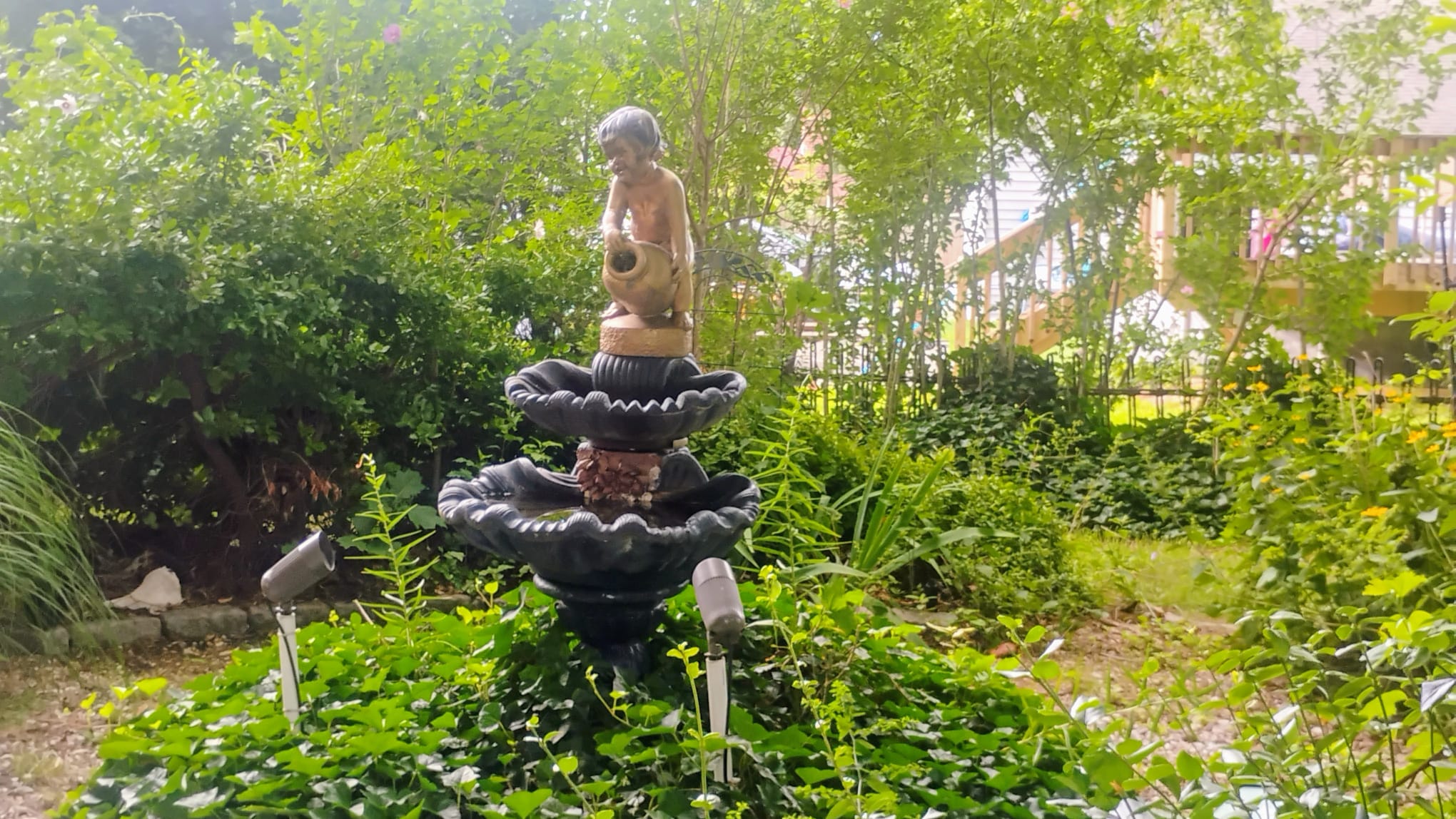 Water Fountain