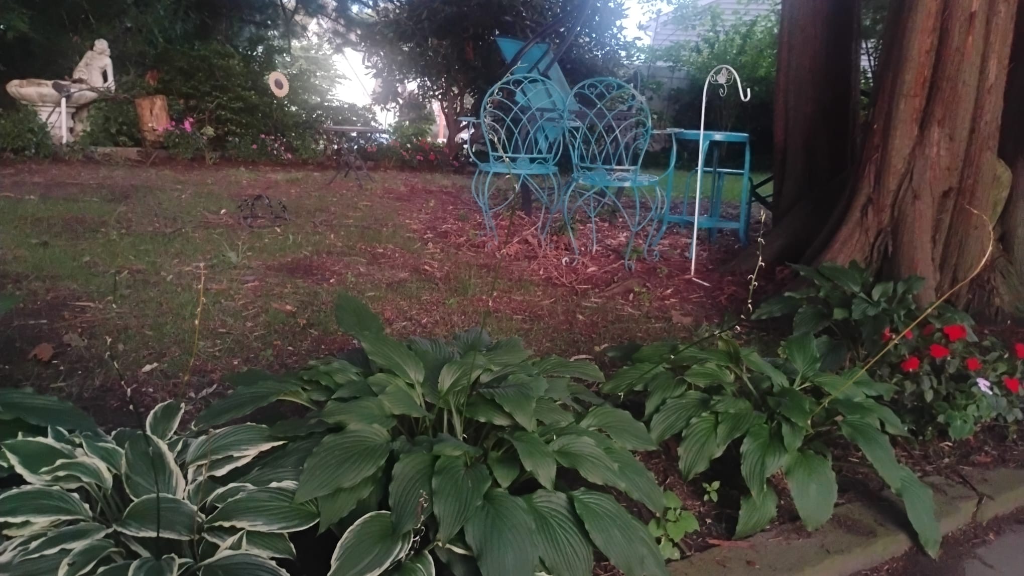 Yard Feature 2